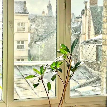 Hyper Centre Appartamento