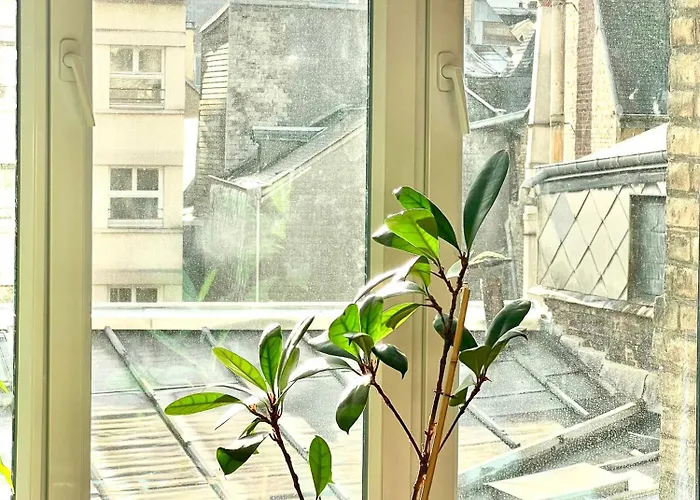 Hyper Centre Apartament